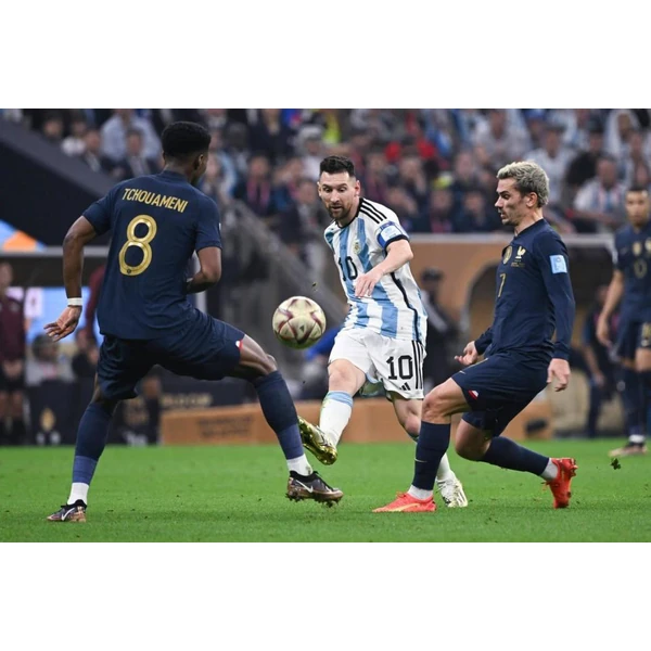 AI 革新（leyusports）