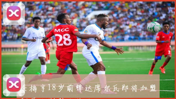 奈梅亨18岁前锋达席尔瓦即将加盟阿贾克斯引发关注