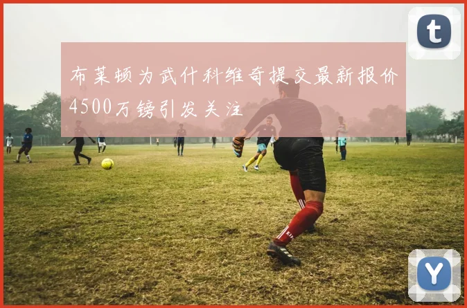 布莱顿为武什科维奇提交最新报价4500万镑引发关注