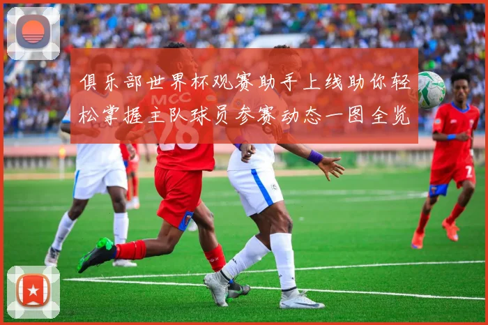 俱乐部世界杯观赛助手上线助你轻松掌握主队球员参赛动态一图全览